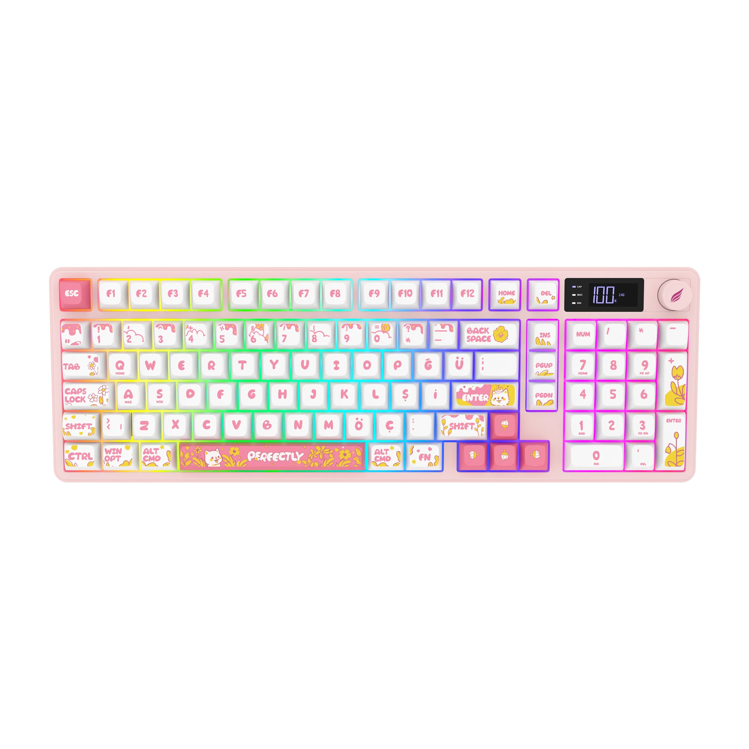 Hawk HK258 Membrane LCD RGB Kablosuz/Bluetooth Beyaz-Pembe Gaming Klavye